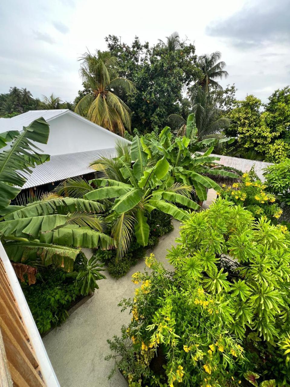 Hotel Seaside Dhigurah à Dhigurah  Extérieur photo