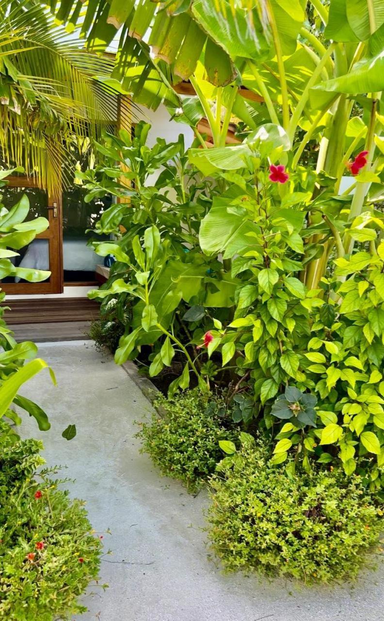 Hotel Seaside Dhigurah à Dhigurah  Extérieur photo