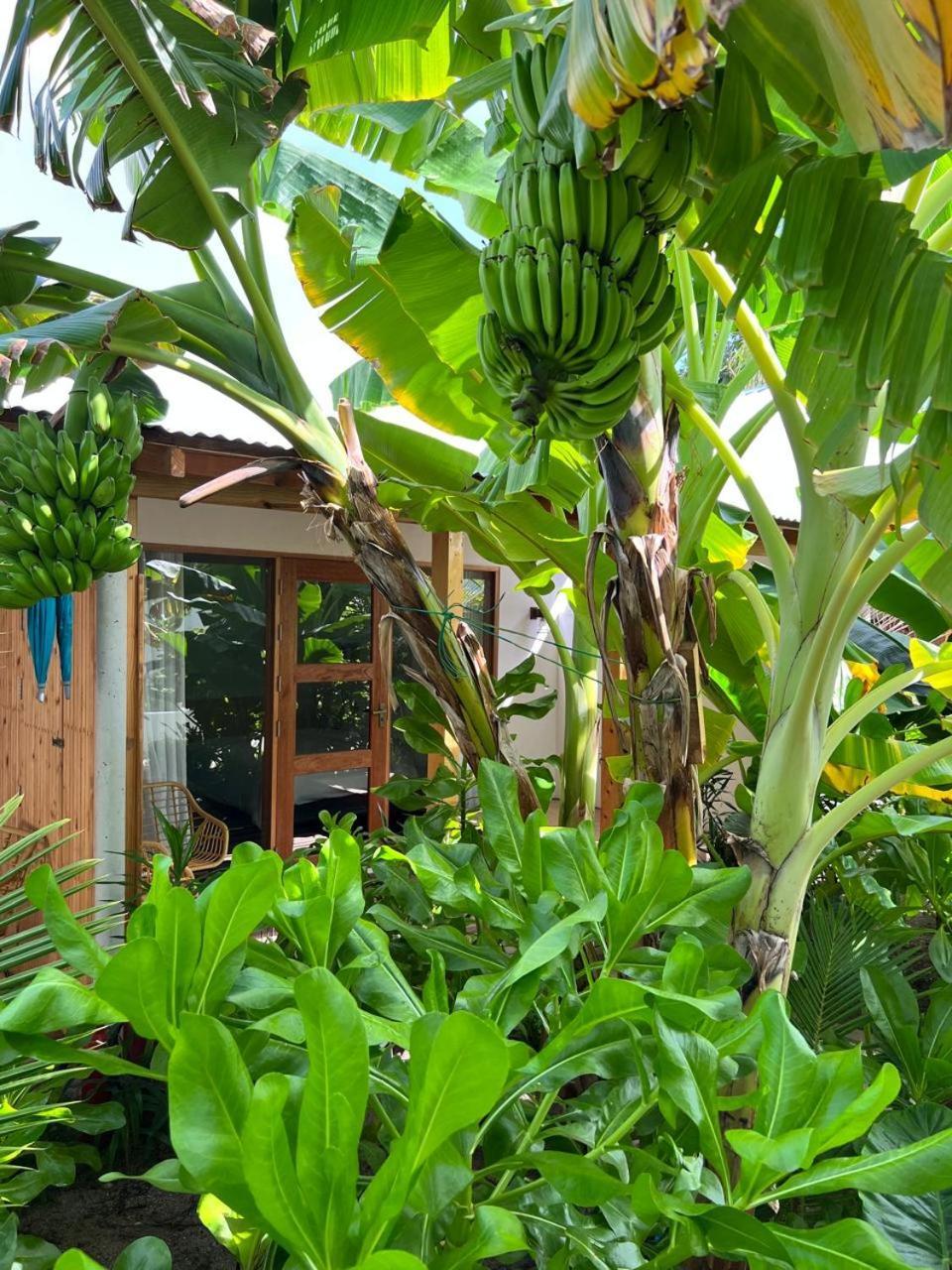 Hotel Seaside Dhigurah à Dhigurah  Extérieur photo